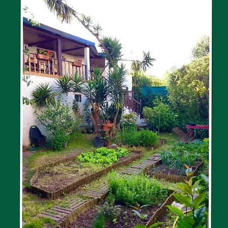 Apartamento Green *