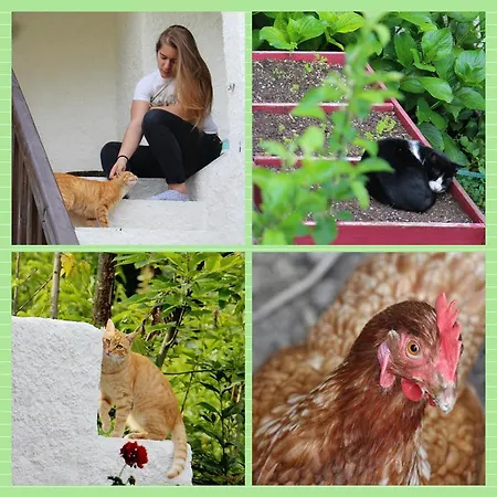Apartamento Green