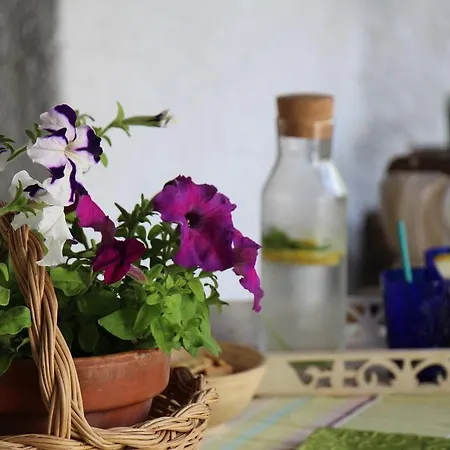 Apartamento Green *
